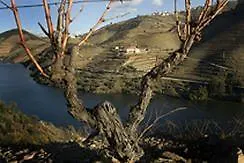 Quinta Do Pego
